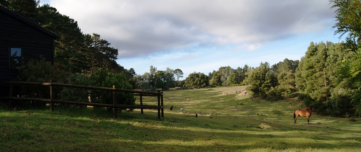1 Merlins Cottage 14Jan17 207 2