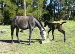 blogimage 11Aug10 052