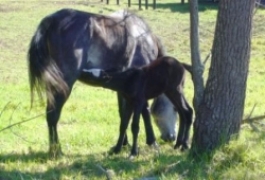 blogimage 11Aug10 031w