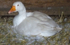 blogimage 12August12 2