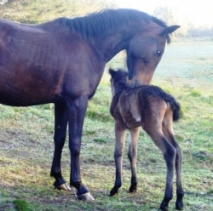 blogimage 2Sept10 063w