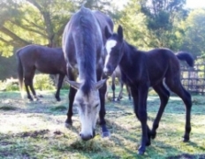 blogimage 11Aug10 029w