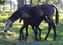 blogimage 11Aug10 057