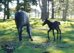 blogimage 11Aug10 060