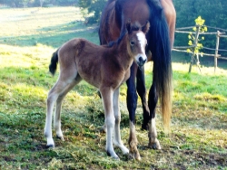 blogimage 15Sep10 006w