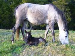 blogimage 2Sept10 067w