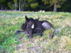 blogimage 2Sept10 071w